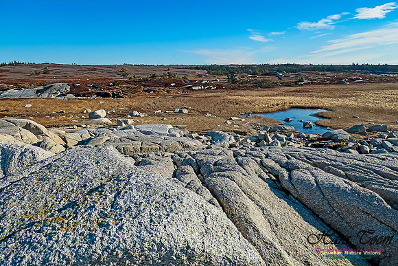 Sunny Morning on the Prospect Barrens 109