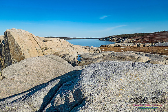 Sunny Morning on the Prospect Barrens 111