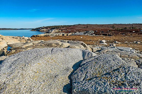 Sunny Morning on the Prospect Barrens 110