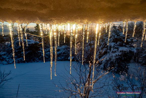 Roof Icicles on a Sunny Morning 107