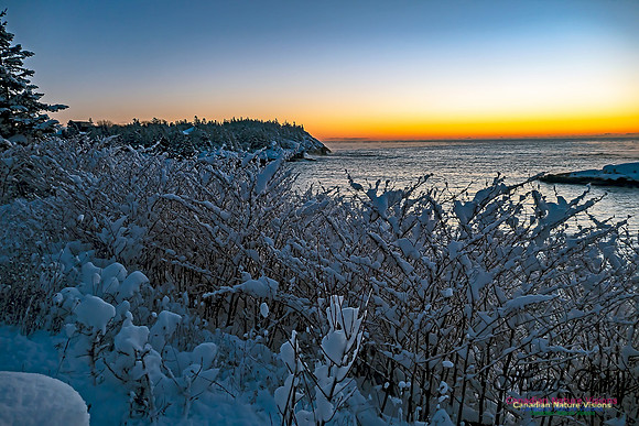 Sunrise and Snow at Herring Cove 108