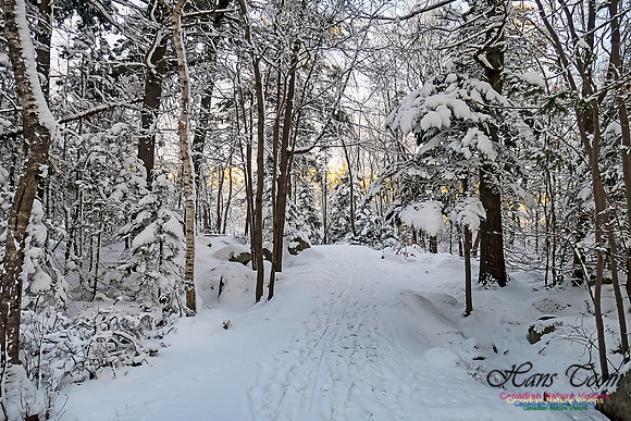 Snowy Secenes Early One Winter Morning 101
