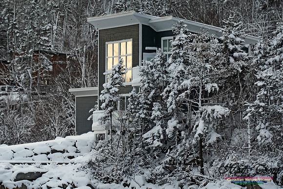 Snowy Secenes Early One Winter Morning 103