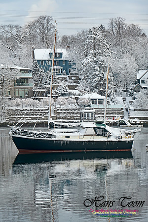Snowy Secenes Early One Winter Morning 106