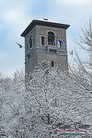 Snowy Secenes Early One Winter Morning 109