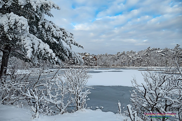 Snowy Secenes Early One Winter Morning 113