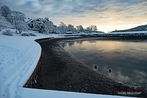 Snowy Secenes Early One Winter Morning 116