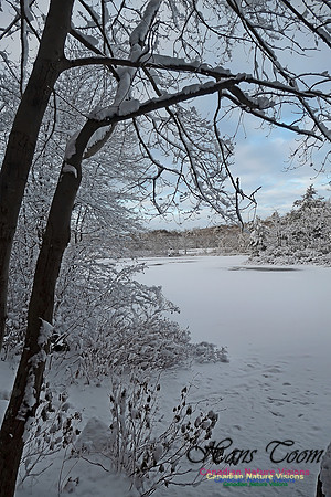Snowy Secenes Early One Winter Morning 122