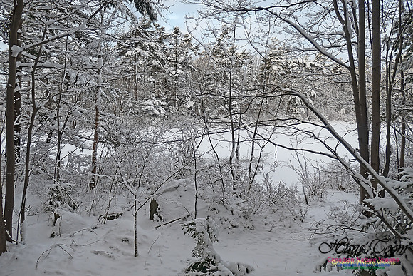 Snowy Secenes Early One Winter Morning 123