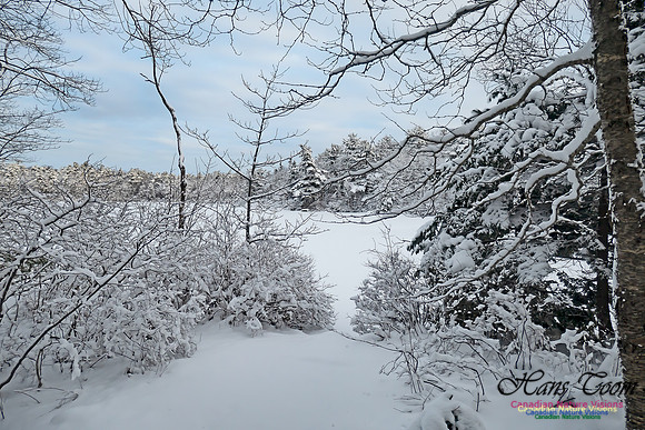Snowy Secenes Early One Winter Morning 125