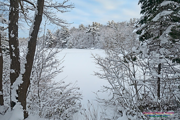 Snowy Secenes Early One Winter Morning 126