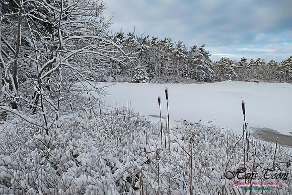 Snowy Secenes Early One Winter Morning 131