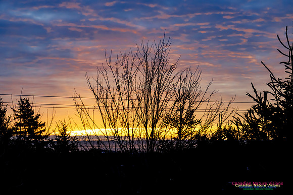 Spectacular Sunrise 100