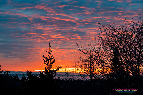 Unusual Sunrise 102