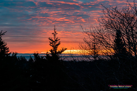 Unusual Sunrise 101