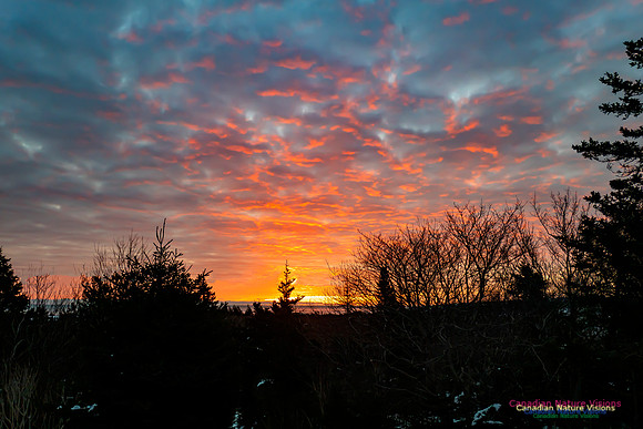 Unusual Sunrise 103