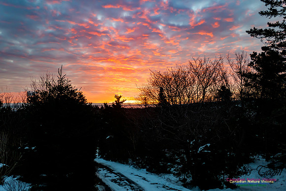 Unusual Sunrise 104