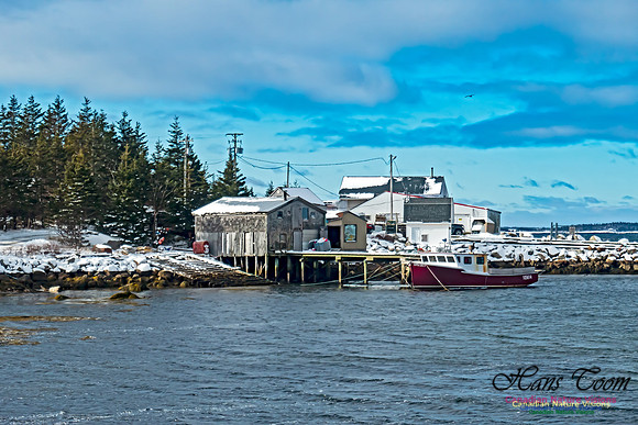 Peggy's Cove to Tantallon 106