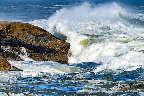 Surf on Rocks 105