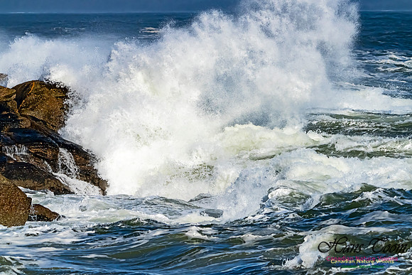 Surf on Rocks 104