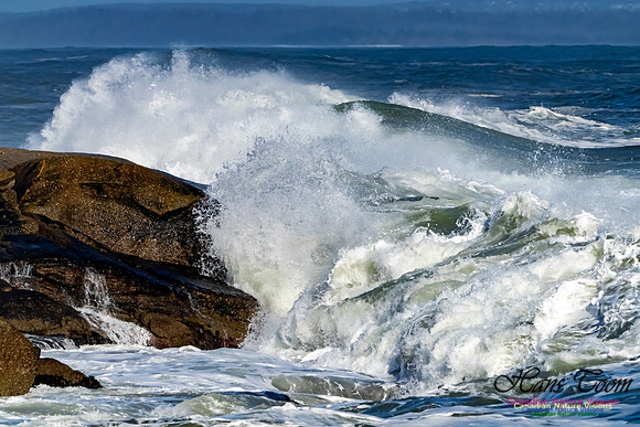 Surf on Rocks 106