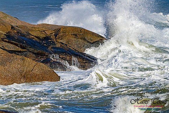 Surf on Rocks 108