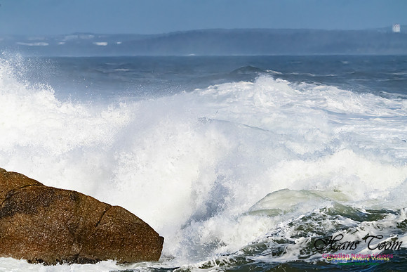 Surf on Rocks 101