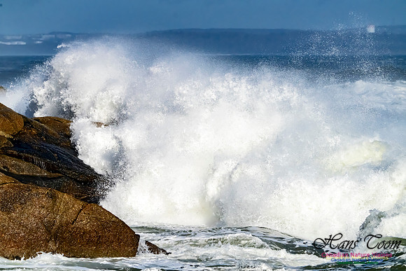 Surf on Rocks 102