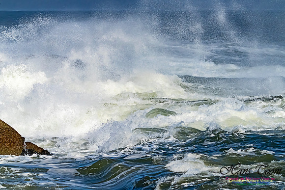 Surf on Rocks 103