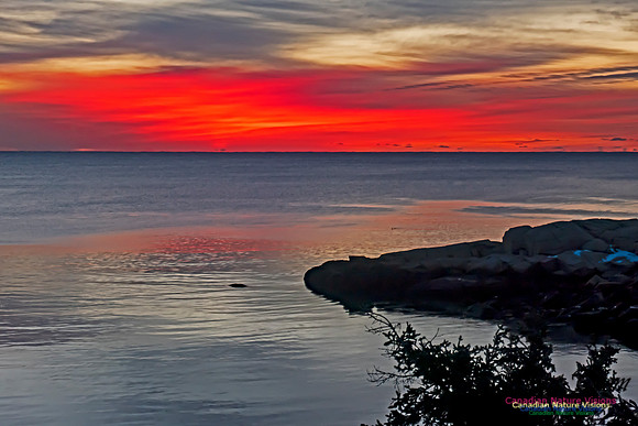 Herring Cove Sunrise 309