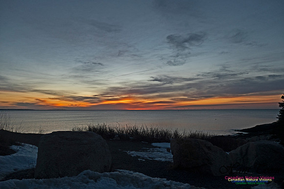 Herring Cove Sunrise 305