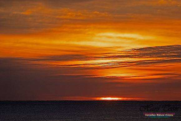 Herring Cove Sunrise 300