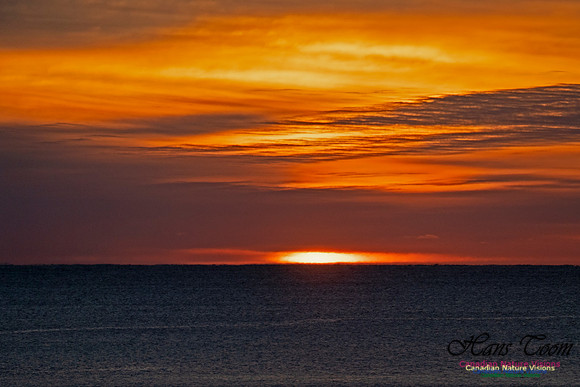 Herring Cove Sunrise 301