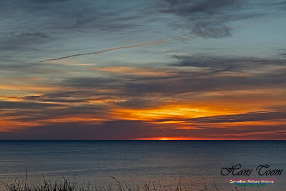 Herring Cove Sunrise 302
