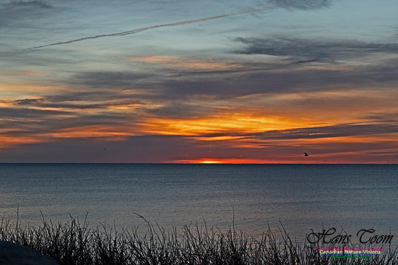 Herring Cove Sunrise 303