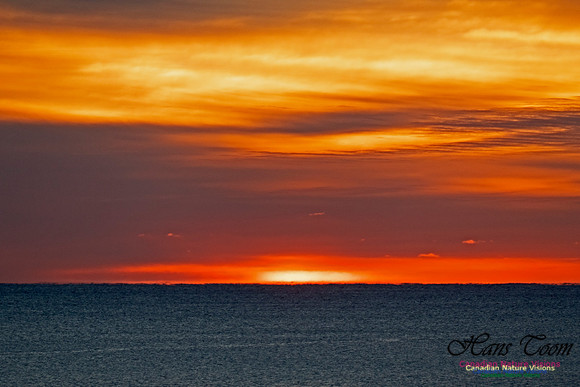 Herring Cove Sunrise 304