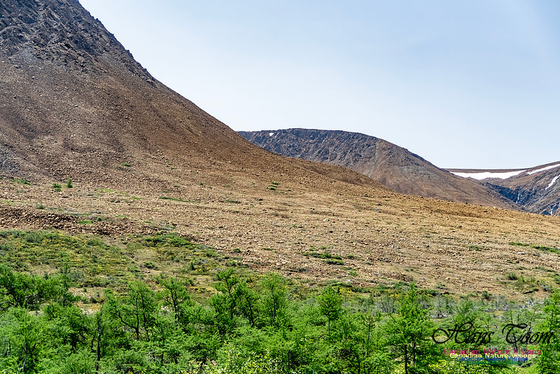 Table Mountains 138