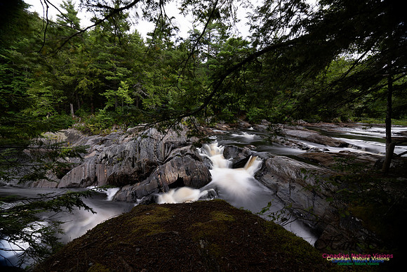 Living Water 101