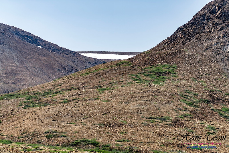 Table Mountains 131