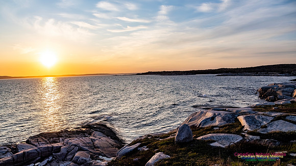 Peggy's Cove Sunset 602