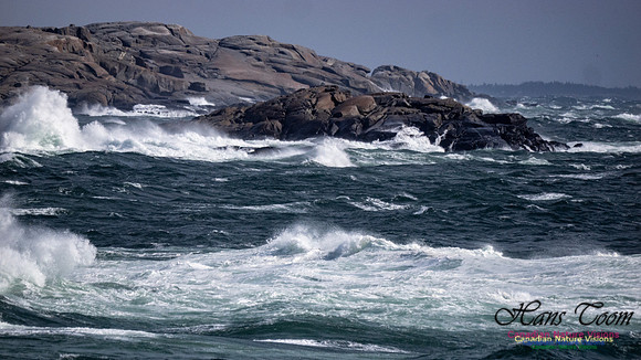 Coastal Tour 129