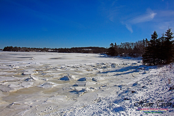 Indian Harbour Frozen