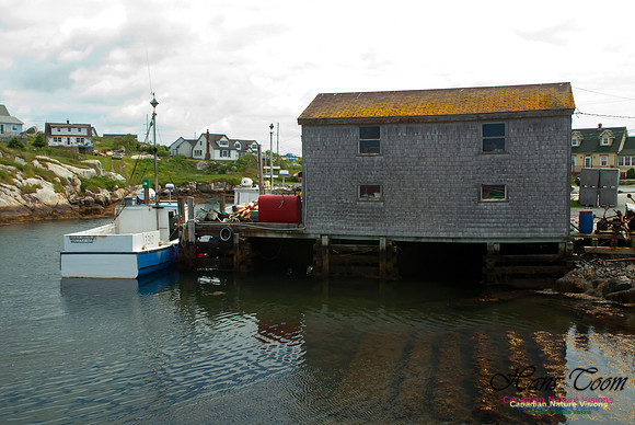 Peggys Cove