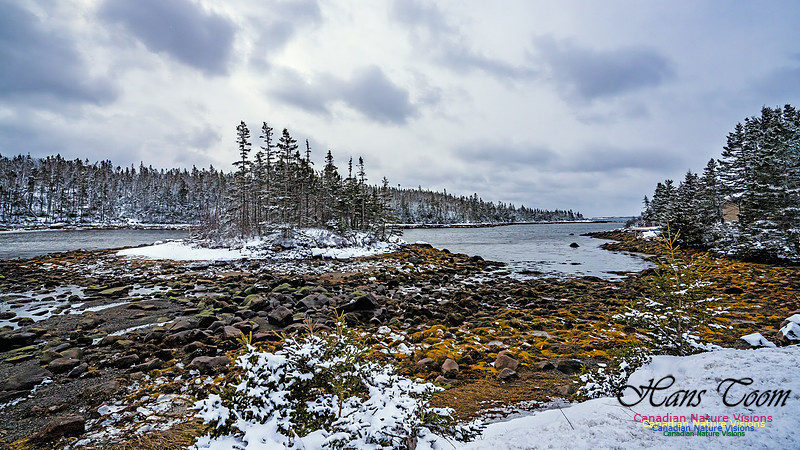Some Winter Scenes 153