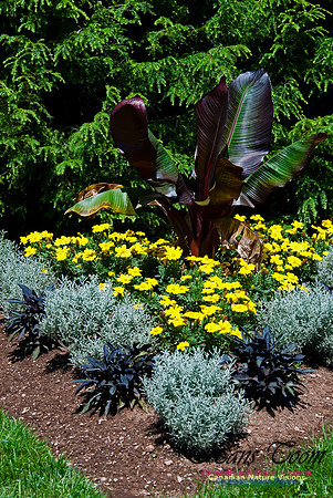 Rock Garden at Agricultural College