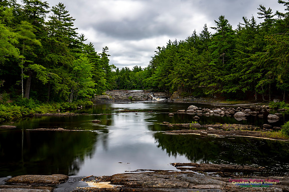 Living Water 115