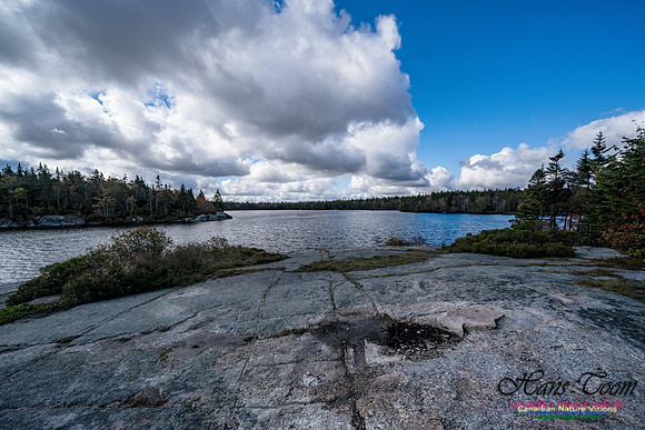 Sambro Loop 118