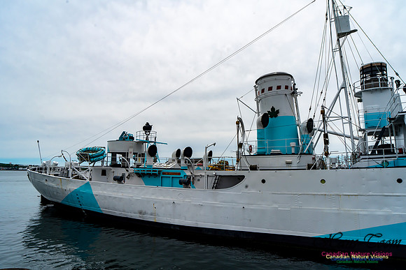 Halifax Waterfront Stroll 160