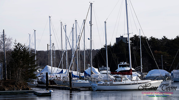 Yachts in Winter 2