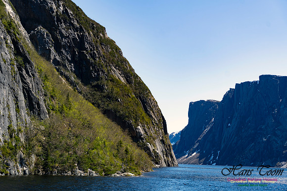 Western Brook Pond 137